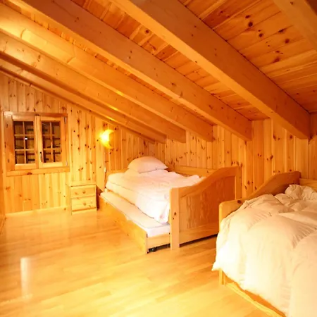 In Rhone Valley Near Lift *