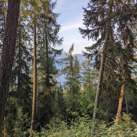 In Rhone Valley Near Lift Les Collons