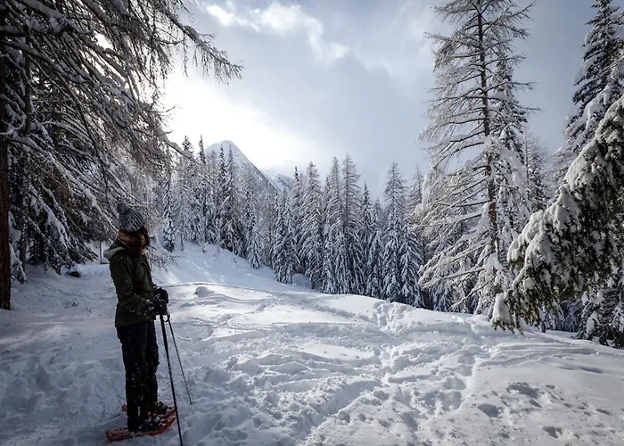 木屋 In Rhone Valley Near Lift