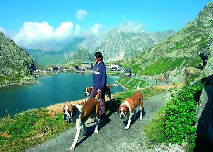 In Rhone Valley Near Lift Domek alpejski *