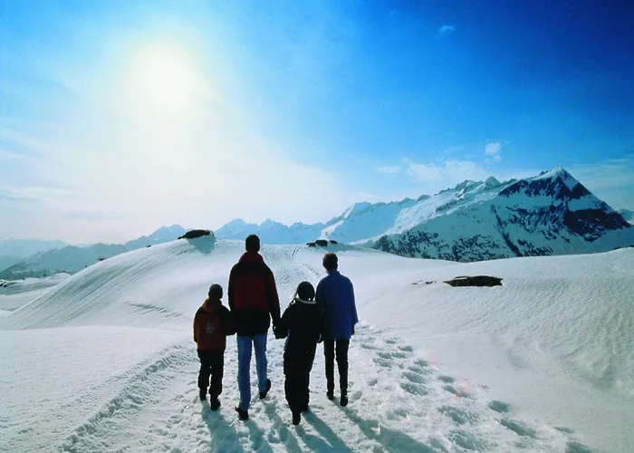 In Rhone Valley Near Lift