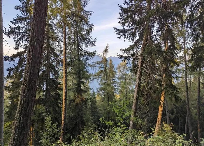 In Rhone Valley Near Lift 莱斯克伦斯