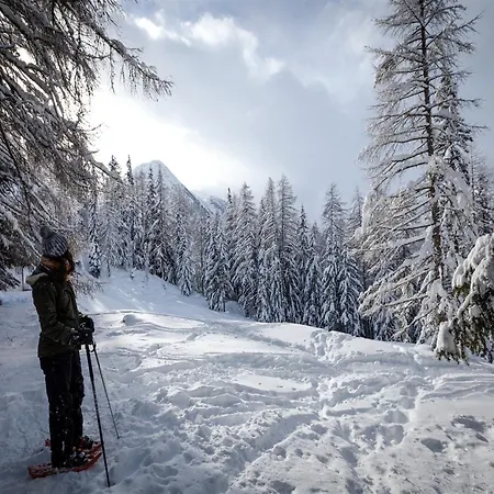 Alpehytte In Rhone Valley Near Lift