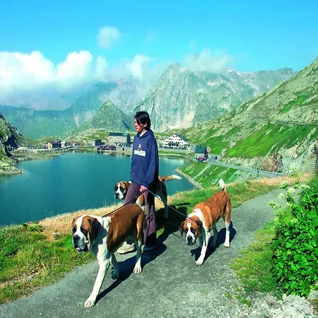 In Rhone Valley Near Lift Alpehytte *