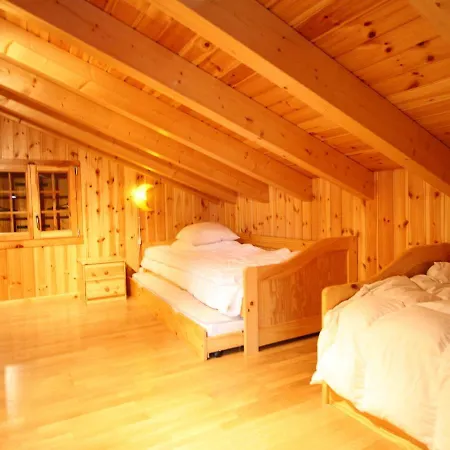 In H R Mence With Sauna Whirlpool * Les Collons
